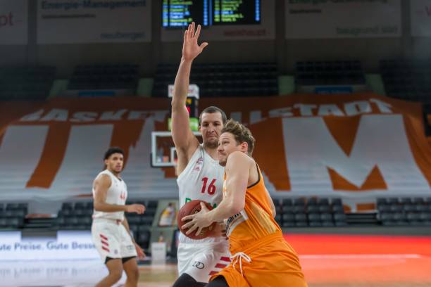 它既显示了 它既显示了